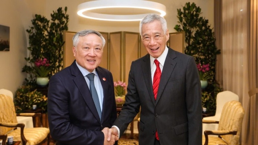 Phó Thủ tướng Thường trực Nguyễn Hòa Bình hội kiến Bộ trưởng Cao cấp Lý Hiển Long