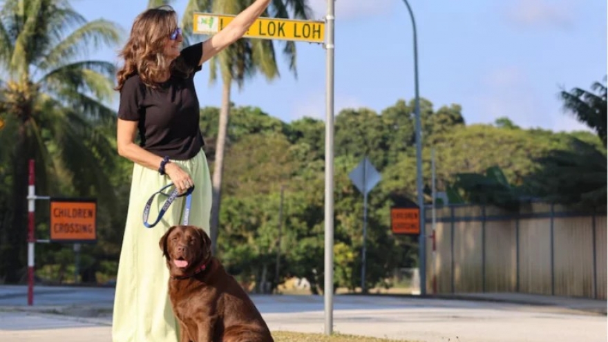 Chuyện thú vị chú chó duy nhất trên đảo Giáng sinh