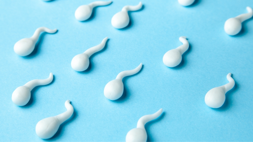 Tự thủ dâm ở tuổi dậy thì có vô sinh không?