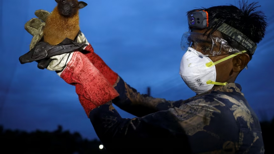 WHO xác nhận một ca tử vong do virus Nipah