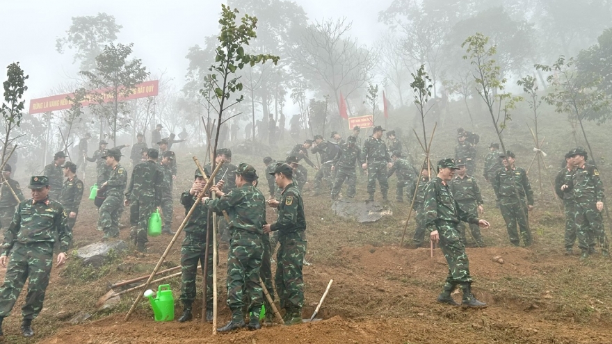 Binh chủng Đặc công trồng trên 53.000 cây xanh