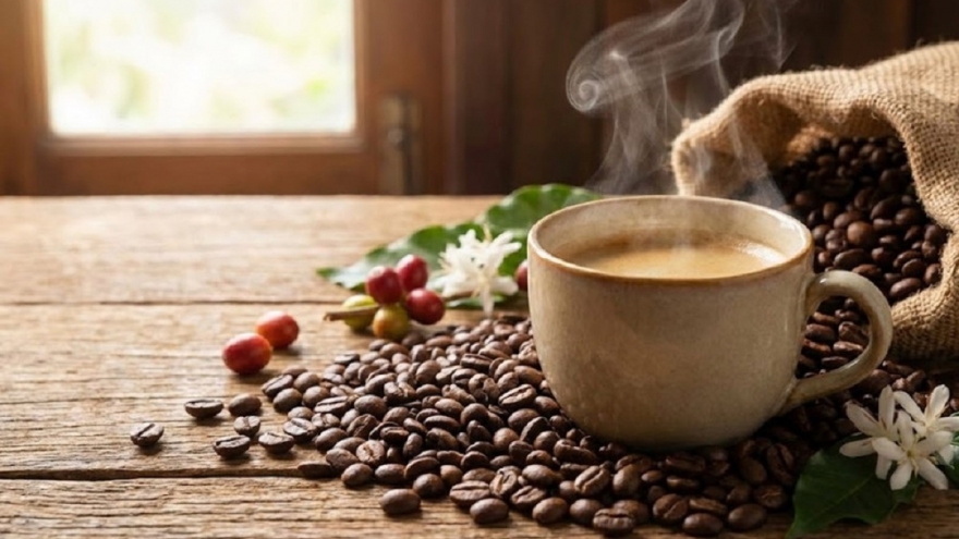 Giá cà phê hôm nay 2/2: Giá cà phê trong nước và thế giới tiếp tục đi ngang