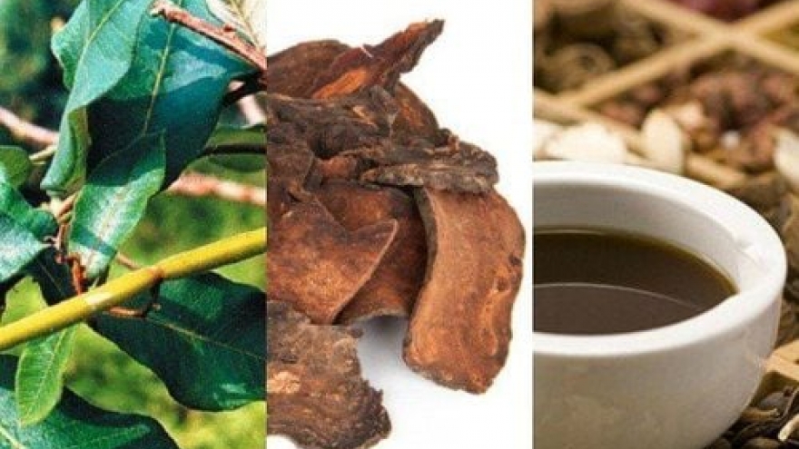 Hà thủ ô giúp bổ huyết, đen tóc thật sự hay chỉ là lời đồn?