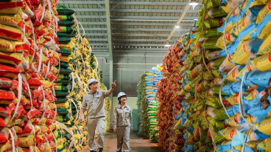 Nhà máy Đạm Phú Mỹ vận hành công suất, đảm bảo nguồn cung phân bón và xuất khẩu