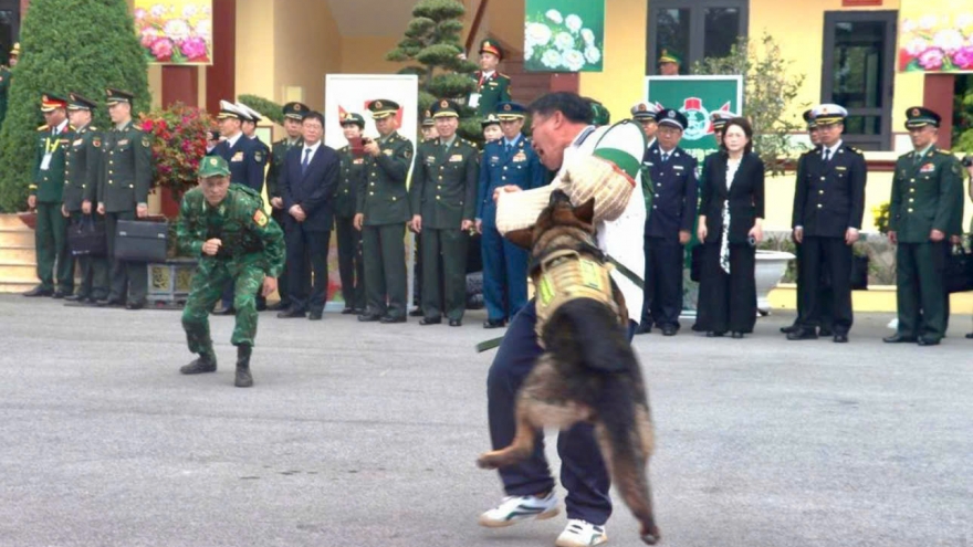 Xem chó nghiệp vụ trình diễn tuần tra phát hiện, bắt tội phạm ma túy