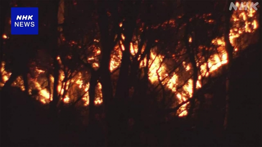 Cháy rừng tiếp tục lan rộng tại Gunma (Nhật Bản)