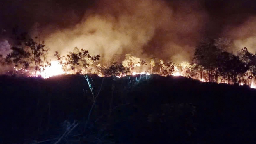 Kịp thời khống chế vụ cháy rừng tại xã A Lưới 1, thành phố Huế