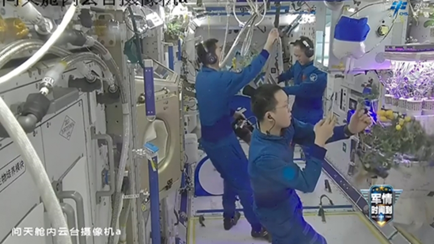 Phi hành đoàn Thần Châu-21 thu hoạch “cà chua không gian”