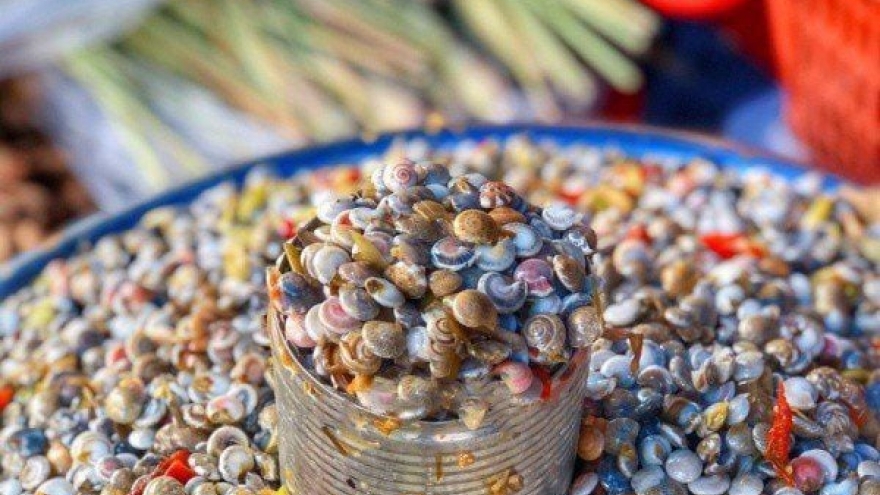 Săn lùng loại ốc nhỏ như cúc áo, hương vị độc lạ
