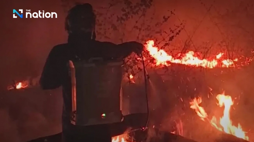 Thái Lan ban bố tình trạng thiên tai khẩn cấp tại miền Bắc do cháy rừng và bụi mịn