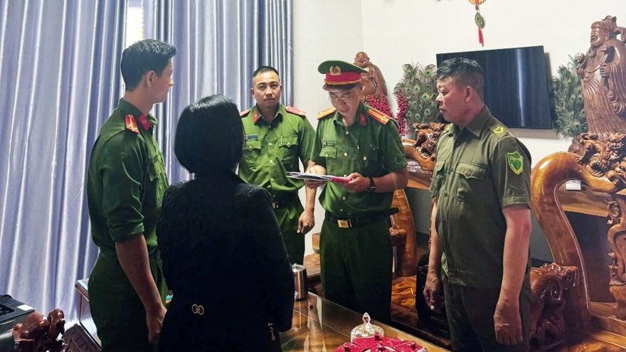 Khởi tố hộ kinh doanh bán gỗ 143 tỷ đồng, chỉ kê khai và nộp thuế 900.000 đồng