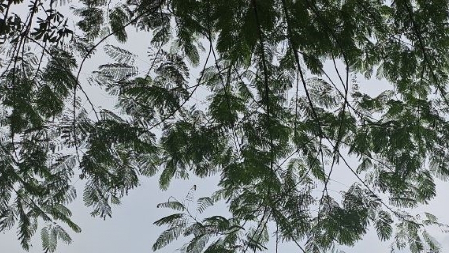 Khó thành văn