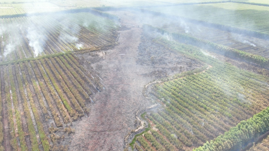 Lại xảy ra cháy rừng lớn ở Hòn Đất, Kiên Giang