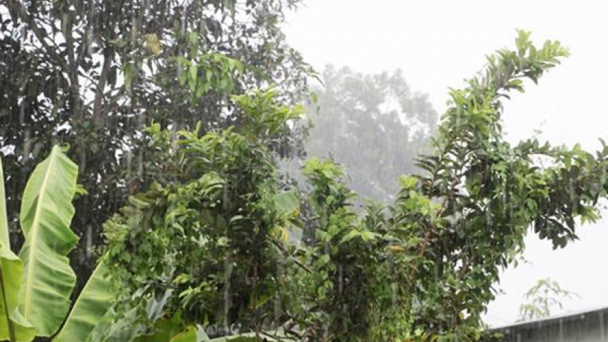 Bình Định liên tục đón “mưa vàng” bổ sung 6 triệu khối nước chống hạn