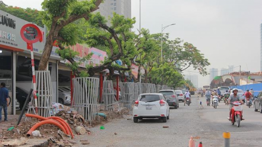 Hà Nội: “Mặc áo giáp” bảo vệ hàng cây “đắt hơn vàng”