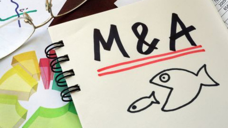 DN nội bị doanh nghiệp ngoại thâu tóm: Cần kiểm soát một số lĩnh vực