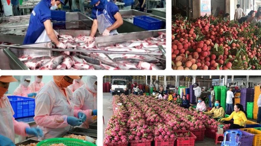 Nông sản Việt phải vượt nhiều rào cản để “thông hành” vào thị trường EU