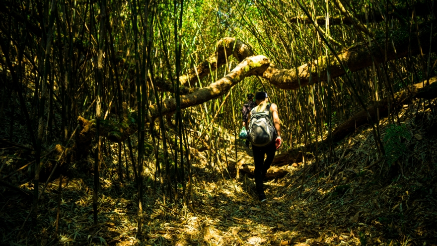 Chinh phục đỉnh Putaleng, đắm say vẻ đẹp của khu rừng cổ tích