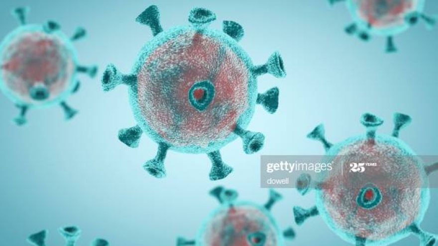 WHO loại trừ khả năng SARS-CoV-2 có nguồn gốc bên ngoài Trung Quốc