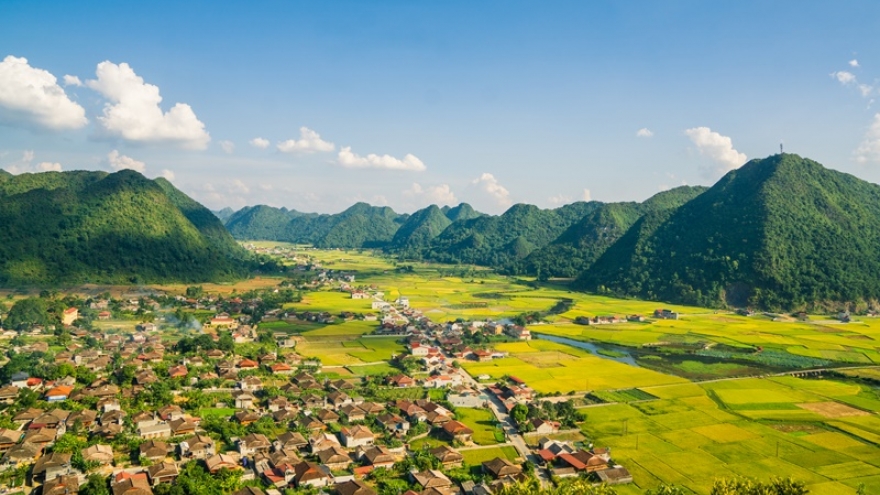 Bắc Sơn rực rỡ mùa vàng