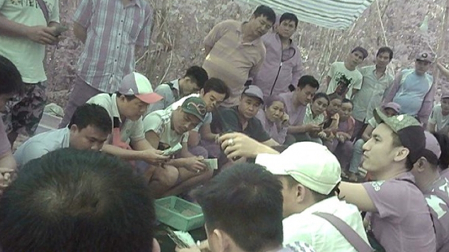 Vụ đại sới bạc giữa rừng: Truy tố hàng chục bị can