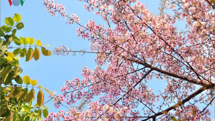 8 tỉnh Tây Bắc phát động chương trình kích cầu du lịch