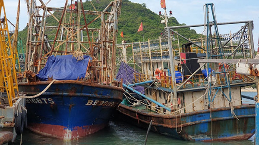 Tàu vỏ thép đóng mới theo Nghị định 67: Ngân hàng khởi kiện chủ tàu