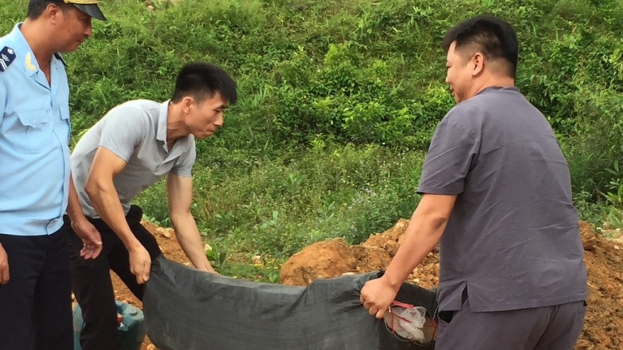 Bắt giữ hơn 3 tấn lòng lợn khô không có nhãn mác, nguồn gốc