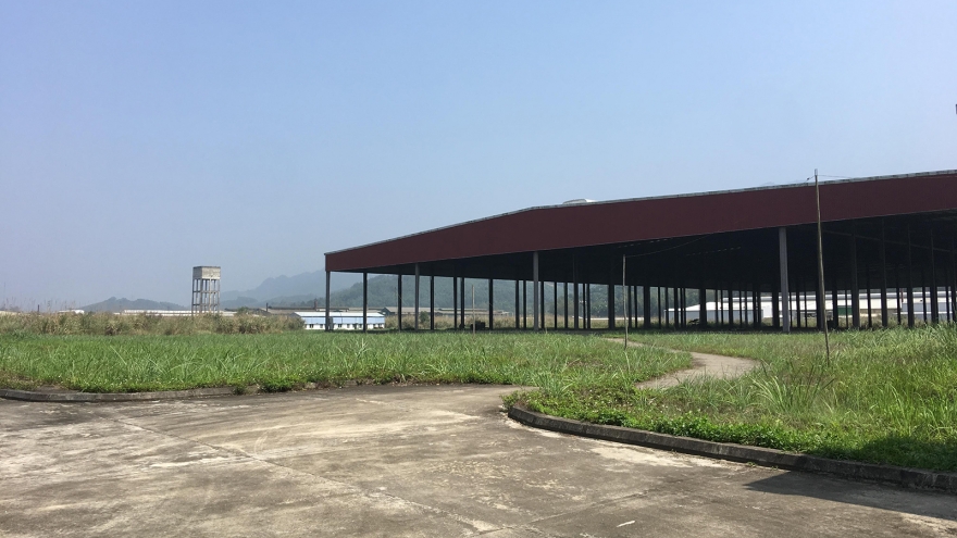 Bắc Kạn: Nhiều doanh nghiệp chiếm đất sản xuất rồi “bỏ hoang”