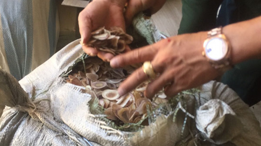 Hơn 100 tấn thảo dược "đội lốt" hoa quả sấy khô được đưa vào Việt Nam