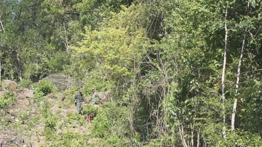 Truy bắt Triệu Quân Sự: Cục Điều tra Bộ Quốc phòng lên phương án mới