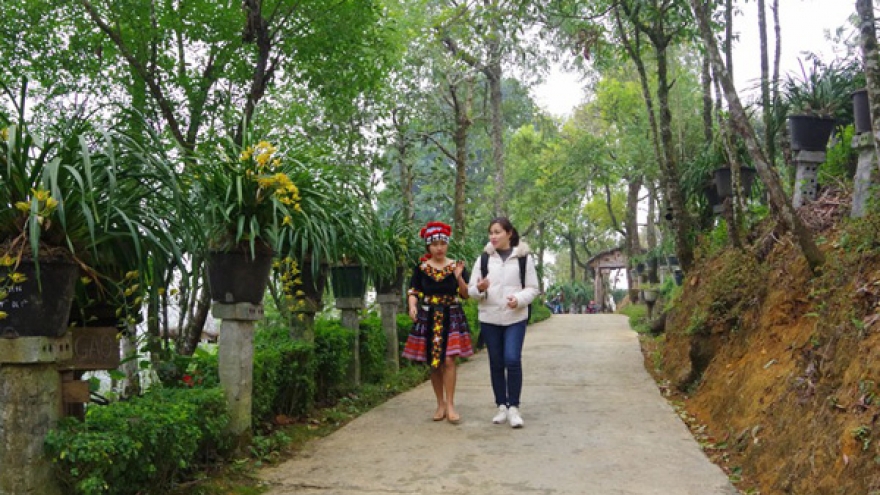 Sau “bão” ma túy, bản người Mông thành nơi trồng địa lan và làm du lịch