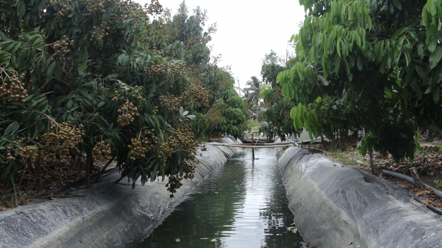 Sóc Trăng ứng dụng tốt kỹ thuật, công nghệ để ứng phó với hạn mặn