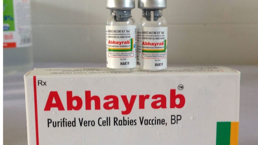 Thừa Thiên-Huế thiếu vaccine phòng bệnh dại phục vụ nhu cầu người dân