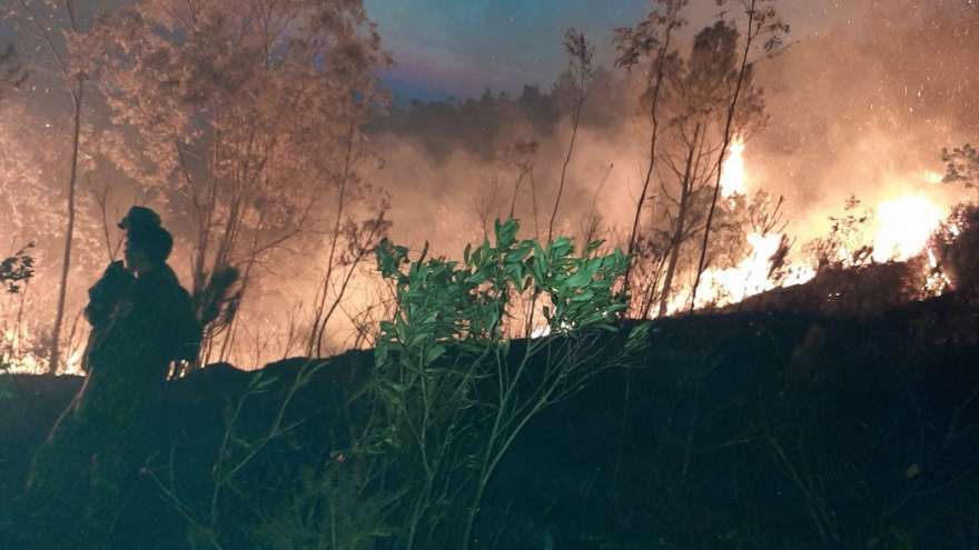 Cháy rừng ở Hà Tĩnh: Thiệt hại khoảng 100ha rừng