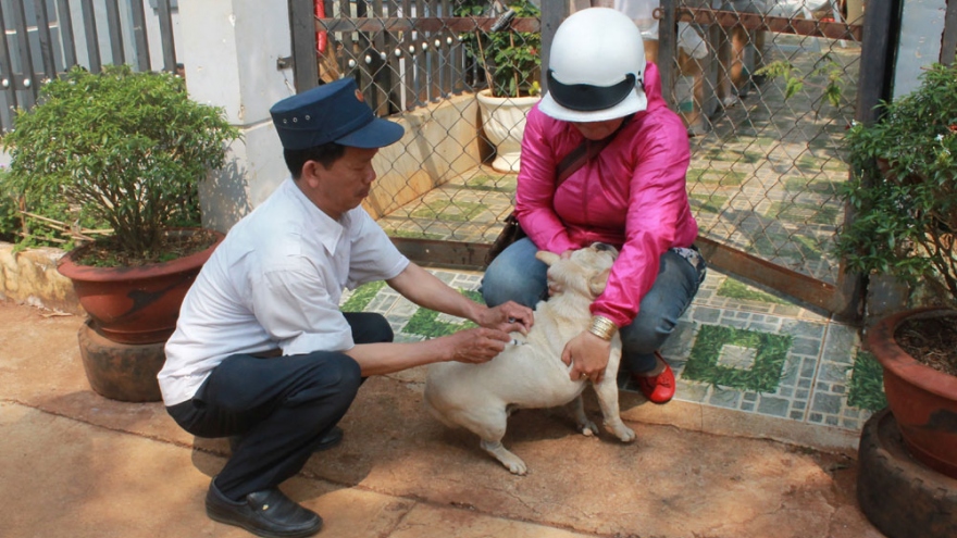 Bệnh nhân thứ 6 tại Đắk Lắk tử vong do bệnh dại