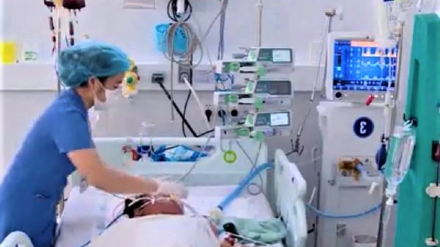 Gia đình 3 người tử vong vì ăn phải nấm độc