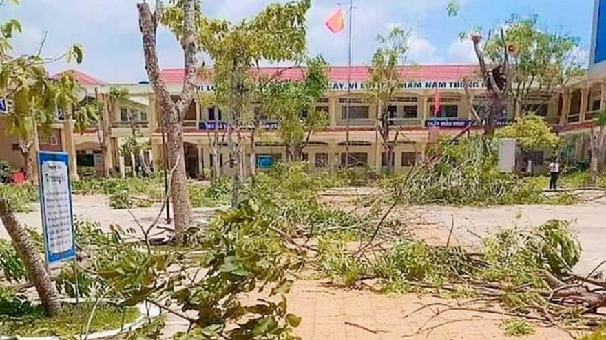 Đốn hạ hàng loạt cây phượng, phụ huynh lo ngại mảng xanh trong trường