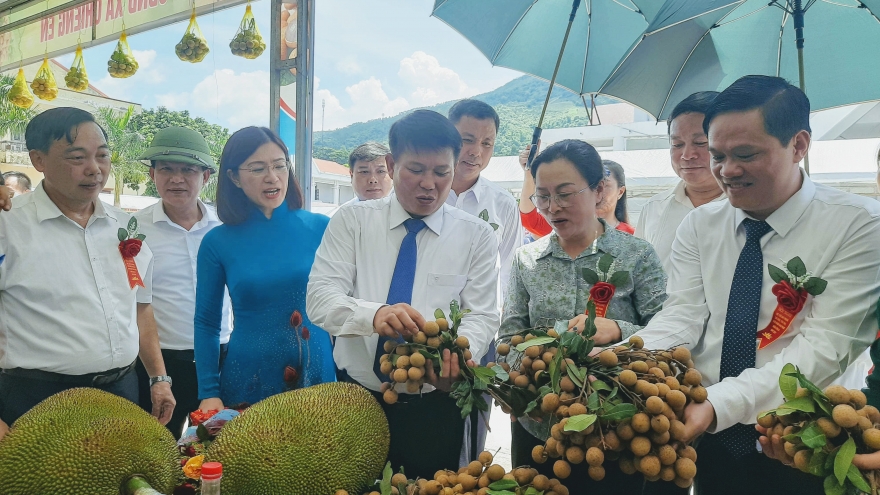 Nông sản Sơn La vươn ra “biển lớn“