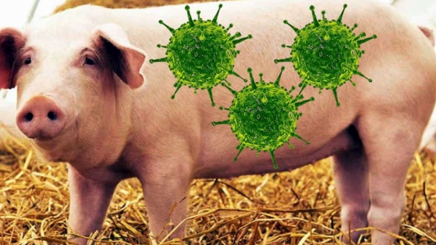 Trung Quốc sẽ giám sát và kịp thời cảnh báo về virus G4