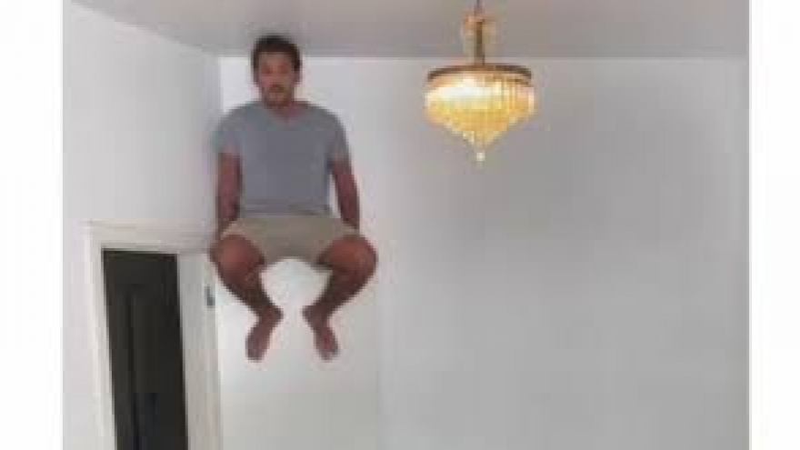 Chó, mèo ngơ ngác không phát hiện chủ trốn trên cánh cửa