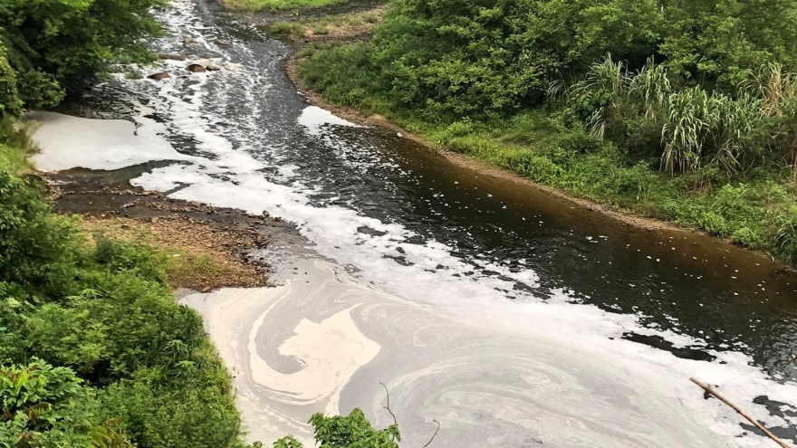 Chưa xác định được nguyên nhân khiến sông Phó Đáy có dấu hiệu ô nhiễm