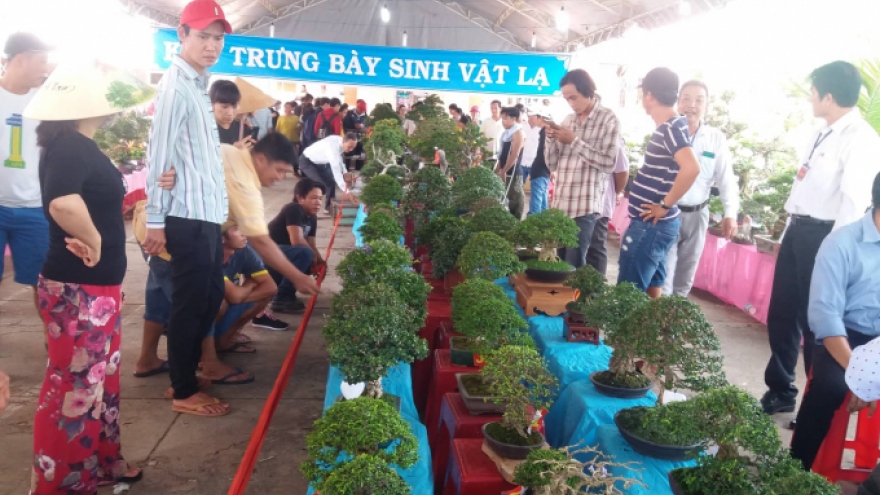 Bến Tre dừng tổ chức lễ hội truyền thống “Cây trái ngon- an toàn 2020”