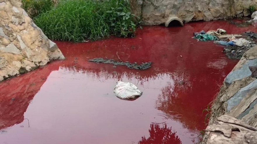 Nước suối chuyển màu đỏ, bốc mùi khó chịu ở Bình Dương