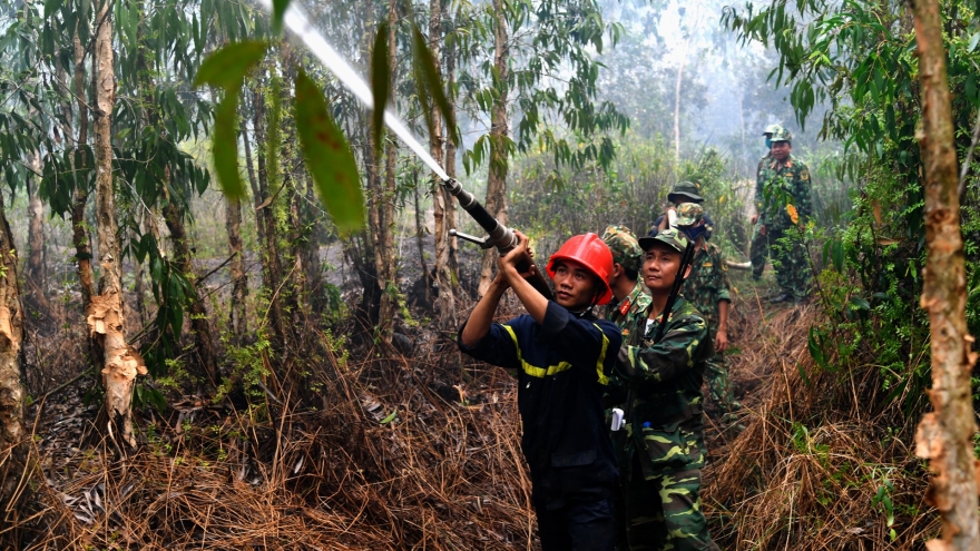 Khoảng 40ha rừng tràm 2,5 tuổi tại Kiên Giang bị cháy dữ dội