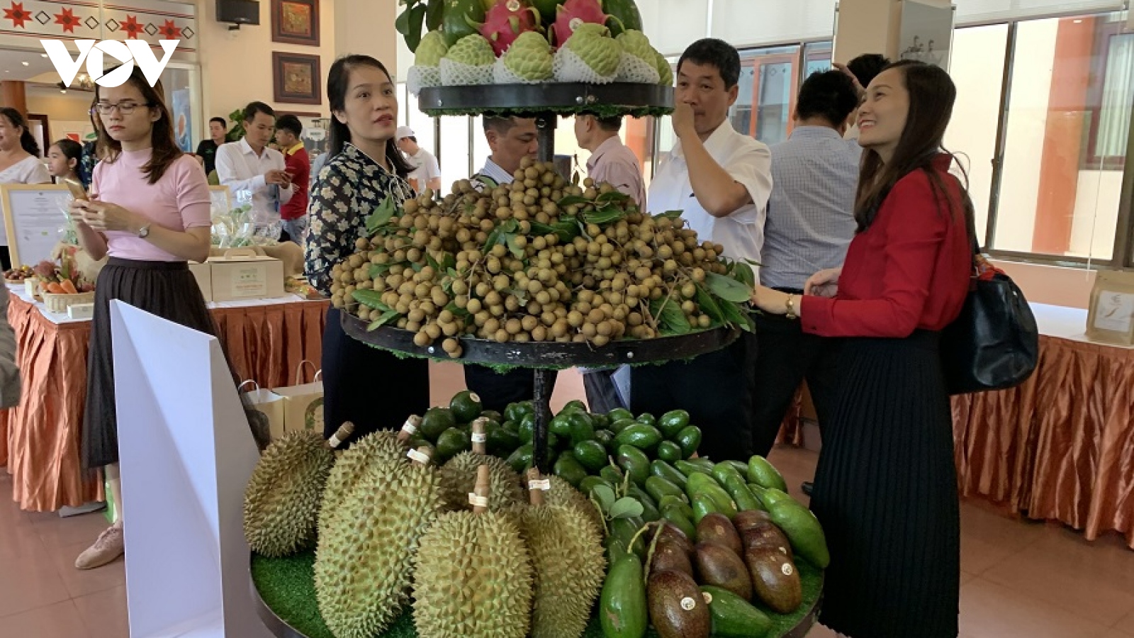 Đắk Lắk có 6 loại cây ăn quả được cấp mã số vùng trồng