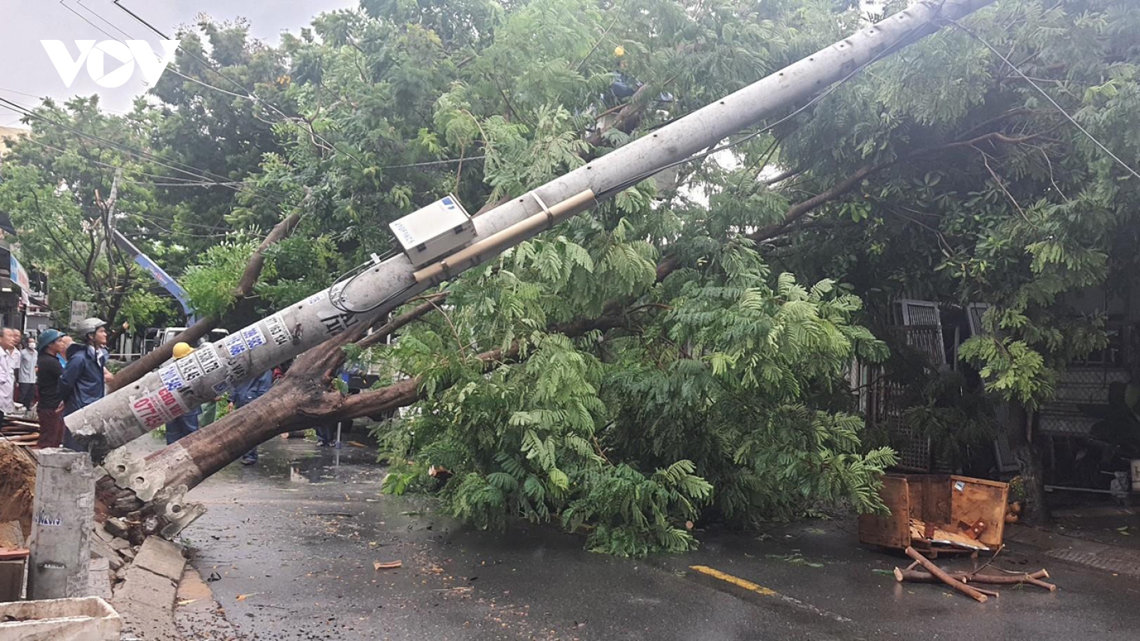 Công ty Điện lực Đà Nẵng thông tin vụ cột điện không lõi thép