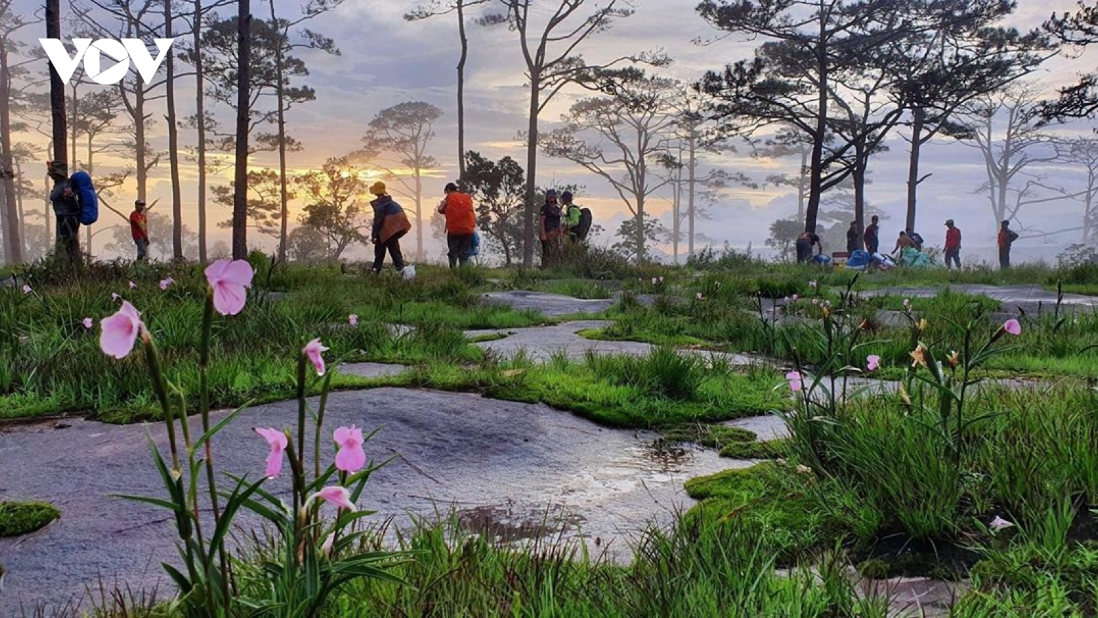 Champasak và ước mơ “một ngày ăn cơm 3 nước”