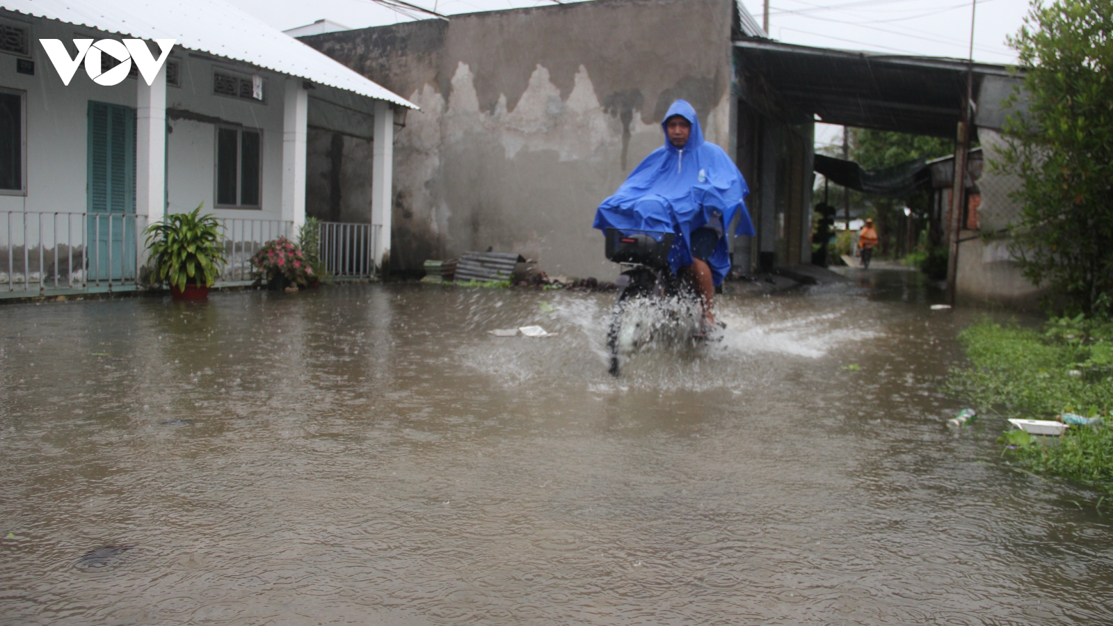 Ngập úng tiếp tục gây thiệt hại nặng cho người dân Hậu Giang