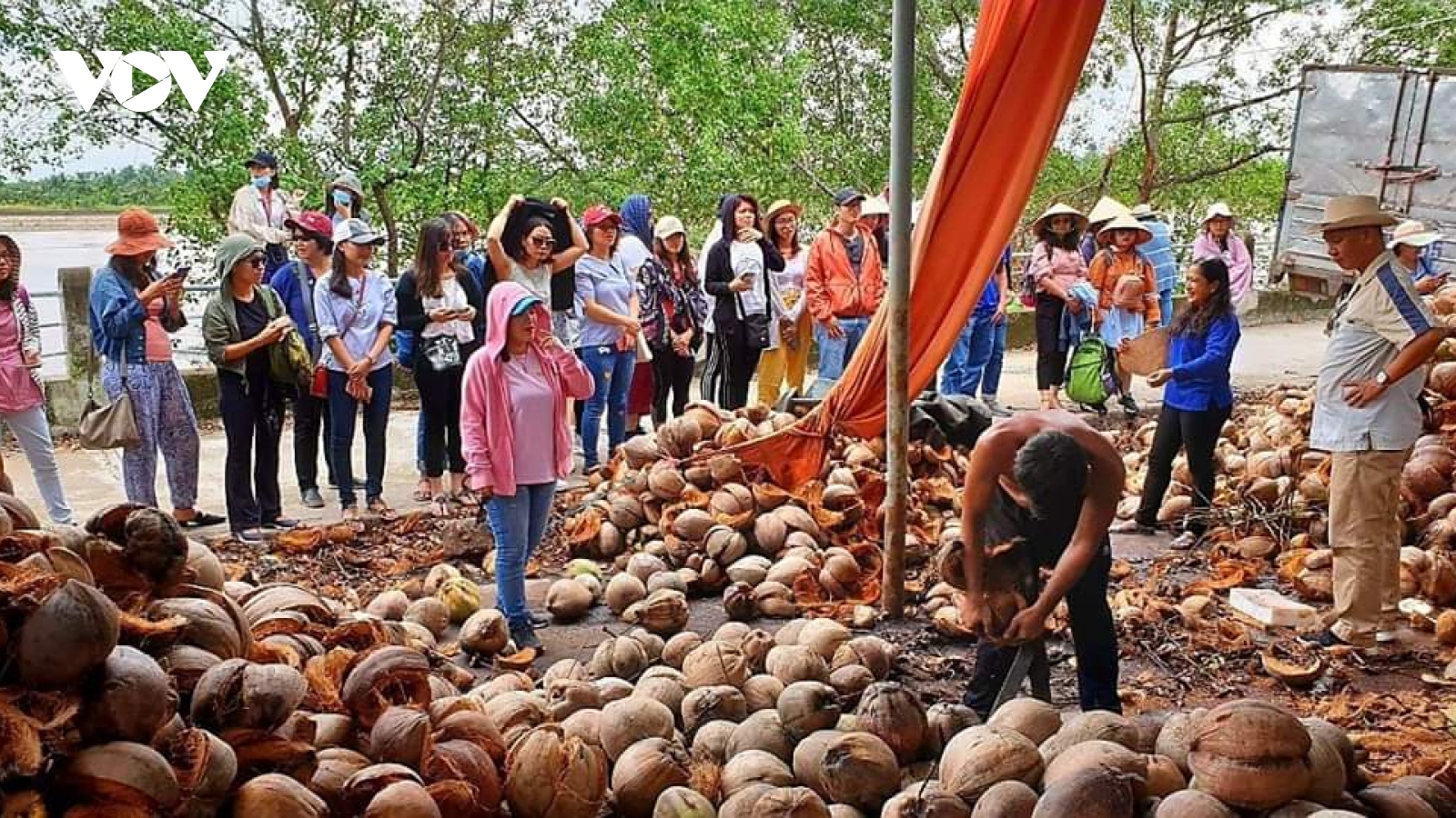 Trải nghiệm làm nông, chèo thuyền và sống mộc mạc tại Trà Vinh, Bến Tre